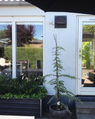 Før udskiftning af vinduer og døre